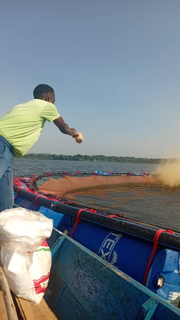 Aquaculture pond operations in Uganda